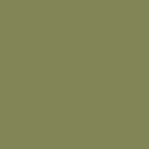 Military Olive Drab Color Chart
